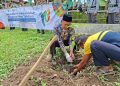 PRM Pucungrejo Peringati Milad Ke-113 Muhammadiyah dengan Aksi Tanam Ratusan Pohon Tabebuya